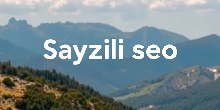 Sayfa Hizi Seo